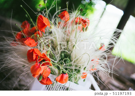 A bouquet of red poppies in a white plastic box for the delivery of plants. A bouquet of red poppies in a white plastic box for the delivery of plants. 51197193