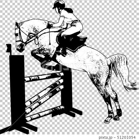 jumping show. horse with jockey jumping a hurdle 51201054