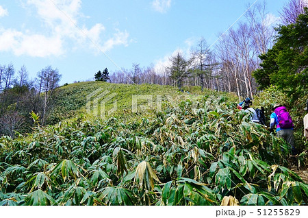 広河原から恵那山への登山道 51255829