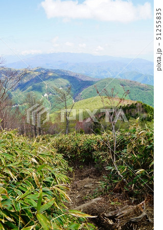 恵那山登山道から中央アルプス方面 恵那山登山道から中央アルプス方面 51255835