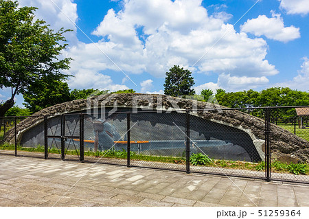 武蔵野の森公園の掩体壕(大沢1号)に描かれた戦闘機「飛燕」 武蔵野の森公園の掩体壕(大沢1号)に描かれた戦闘機「飛燕」 51259364