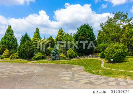 武蔵野の森公園 コニファー園 武蔵野の森公園 コニファー園 51259374