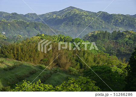 【千葉県鴨川市】 大山千枚田周辺の里山風景 51266286