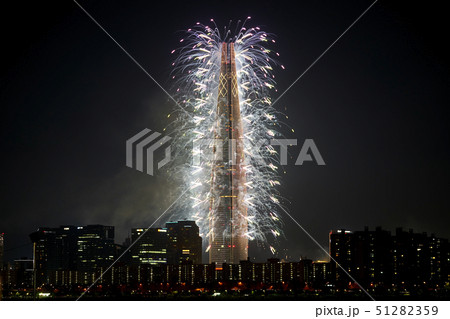 春 風景 ソウル 51282359