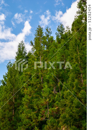 アジア人 アジアン アジア風 51282454