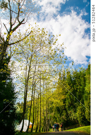 アジア人 アジアン アジア風 51282464