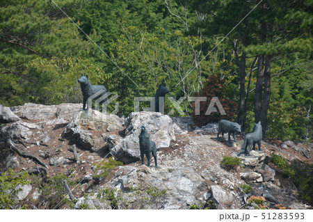 太龍寺オオカミ５匹像（ロープウェイ眼下） 51283593