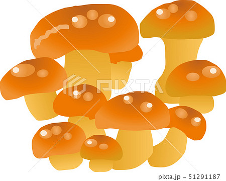 なめこのイラスト素材