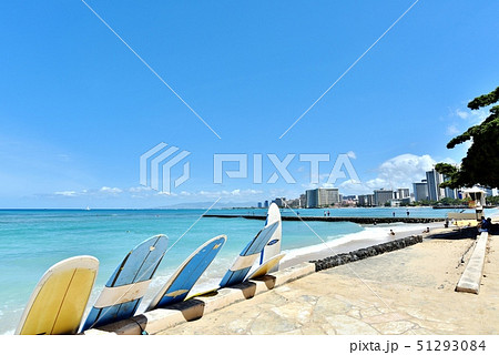 ハワイの休日 51293084