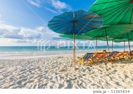 Tranquil beach summer scene. Exotic tropical beach Tranquil beach summer scene. Exotic tropical beach 51305654