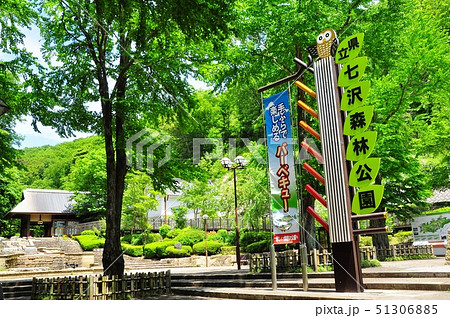 神奈川県立七沢森林公園 中央口付近の新緑 神奈川県立七沢森林公園 中央口付近の新緑 51306885