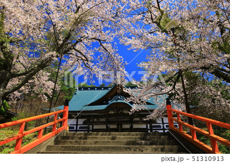 春の福泉寺 51310913