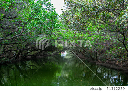 アジア人 アジアン アジア風 51312229