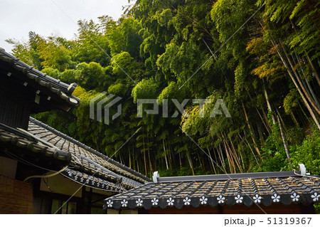 晩春 風景 全北 51319367