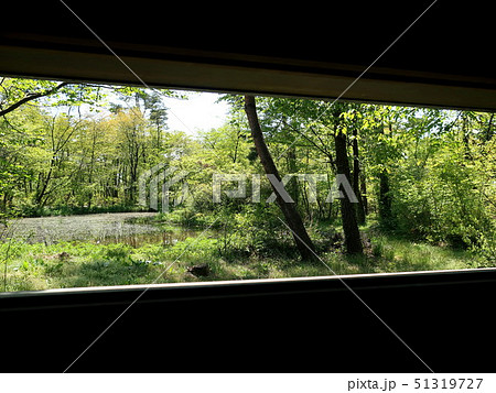 野鳥観察小屋の窓から 51319727
