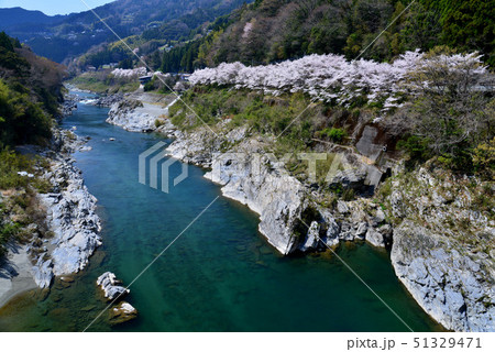 吉野川沿いに咲く桜(高知県大豊町岩原) 吉野川沿いに咲く桜(高知県大豊町岩原) 51329471