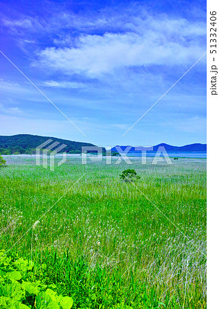 北海道釧路市、初夏の塘路湖と釧路湿原 51332406