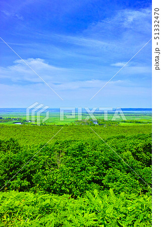 北海道釧路市、初夏の細岡展望台から眺める釧路湿原 51332470