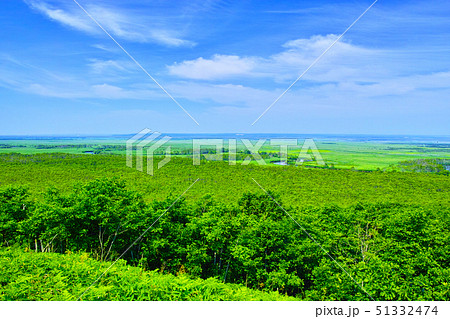 北海道釧路市、初夏の細岡展望台から眺める釧路湿原 51332474