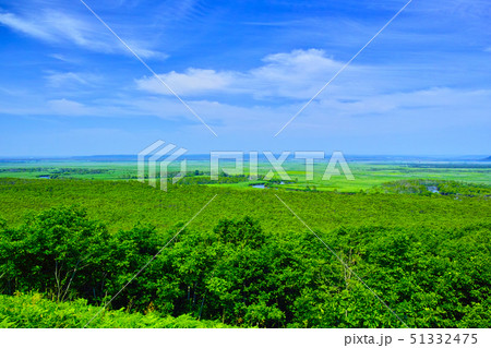 北海道釧路市、初夏の細岡展望台から眺める釧路湿原 51332475