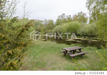Resting place with furniture in a forest glade by Resting place with furniture in a forest glade by 51333383