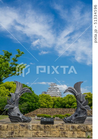城見台公園から見る新緑の姫路城 城見台公園から見る新緑の姫路城 51334596