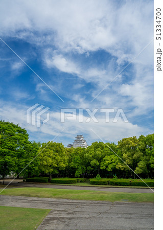 新緑の姫路城 51334700