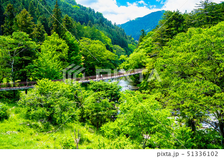東京 新緑の秋川渓谷 石舟橋 51336102