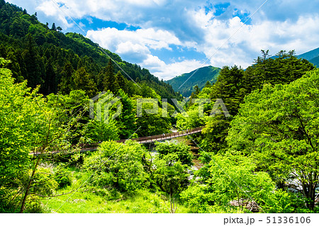 東京 新緑の秋川渓谷 石舟橋 東京 新緑の秋川渓谷 石舟橋 51336106