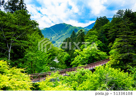 東京 新緑の秋川渓谷 石舟橋 東京 新緑の秋川渓谷 石舟橋 51336108