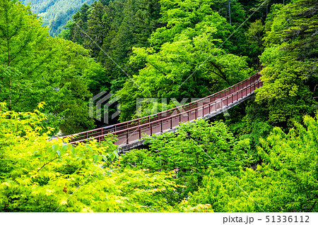 東京 新緑の秋川渓谷 石舟橋 東京 新緑の秋川渓谷 石舟橋 51336112