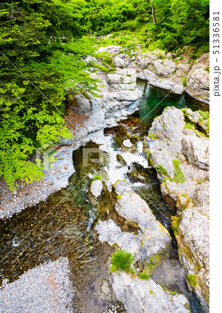 東京 石舟橋から見る新緑の秋川渓谷 51336581
