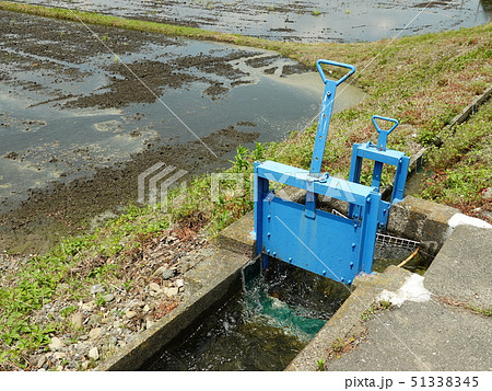田植時期に農業用水路の水量調整と分配器 田植時期に農業用水路の水量調整と分配器 51338345
