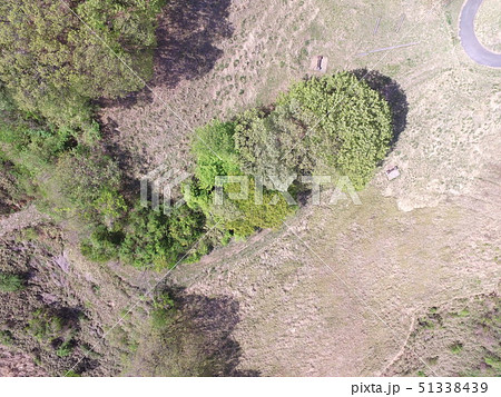 山間の牧草地〜ドローンで空撮（埼玉県秩父郡小鹿野町伊豆沢） 51338439