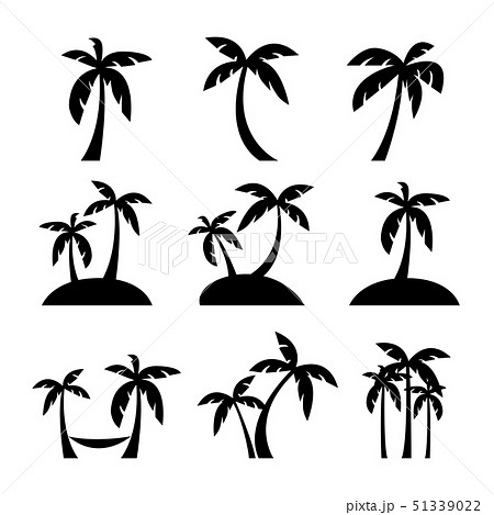 Set of coconut or palm trees with islands. 51339022