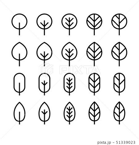 Set of minimal leaf line icon. Set of minimal leaf line icon. 51339023
