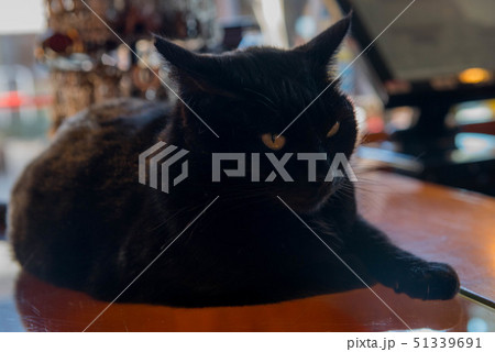 オスティアアンティカ 51339691