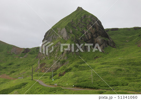 北海道　礼文島　桃岩 51341060