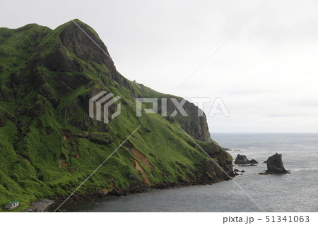 北海道 礼文島 猫岩 北海道 礼文島 猫岩 51341063