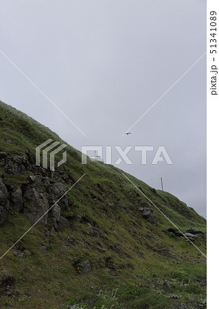 北海道 礼文島 金田ノ岬灯台 北海道 礼文島 金田ノ岬灯台 51341089