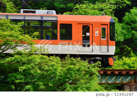 鉄道　列車　叡電　えいでん　叡山電鉄　900系　きらら　貴船口　鞍馬　新緑　青もみ 51341297