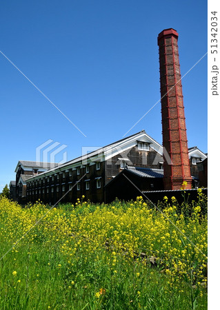 酒蔵と菜の花 酒蔵と菜の花 51342034