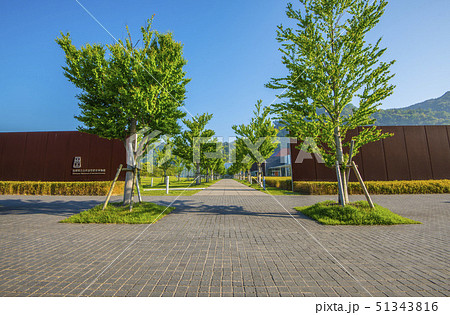 島根県立古代出雲歴史博物館 51343816