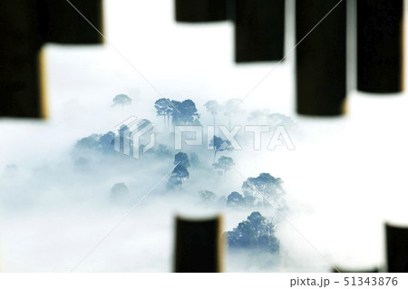 Morning Mist with Mountain View Morning Mist with Mountain View 51343876