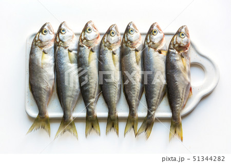Black sea fresh bluefish on white. Fish pattern. Black sea fresh bluefish on white. Fish pattern. 51344282