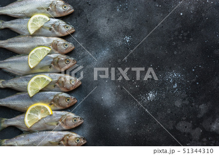 Black sea bluefish on black. Fish pattern. 51344310