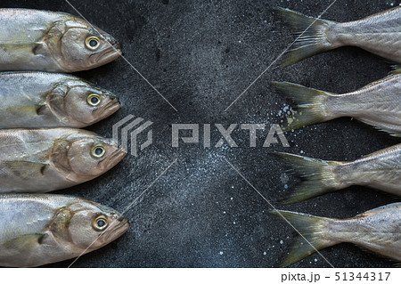 Black sea bluefish on black. Fish pattern. 51344317