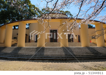 都立桜ヶ丘公園 旧多摩聖蹟記念館 春 51344911