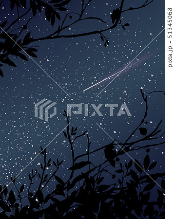 Stars on the sky at night with meteor and tree Stars on the sky at night with meteor and tree 51345068