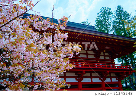 高野山_中門_No1 51345248